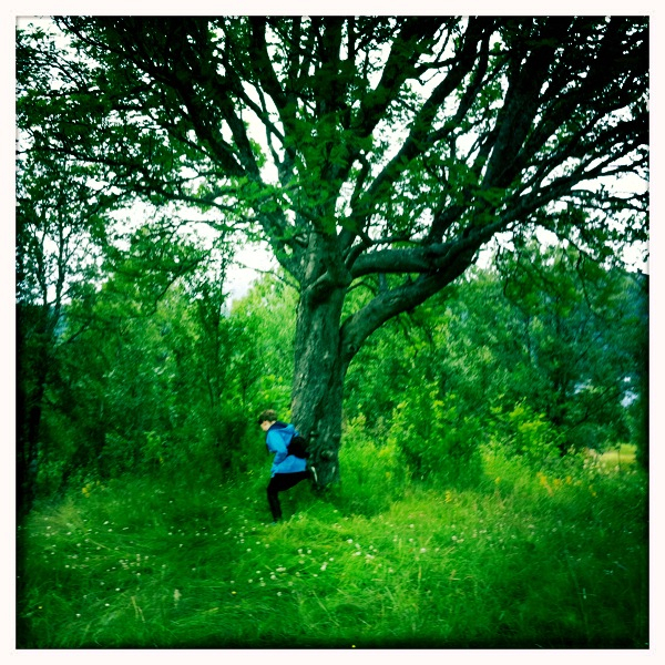 Hip 333031384.675223