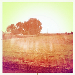 Hip 335663267.990969