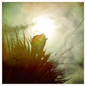 Hip 335660216.248117