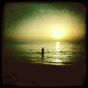 Hip 335900781.736081