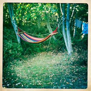 Hip 336066679.278660