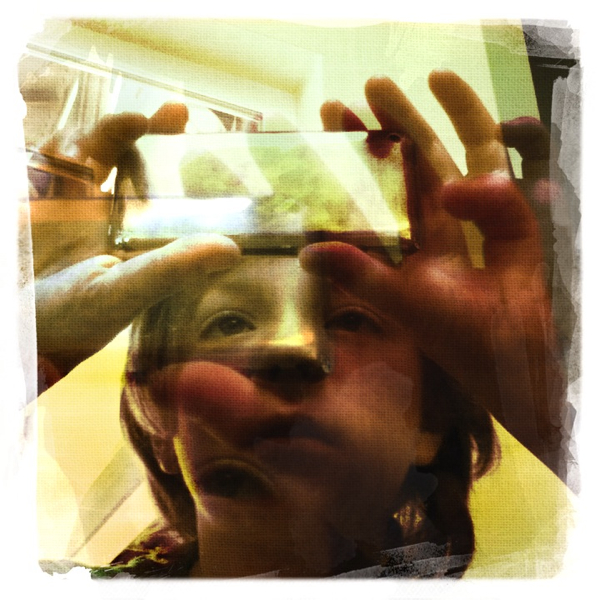 Hip 336069869.880744