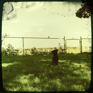 Hip 334966846.492204