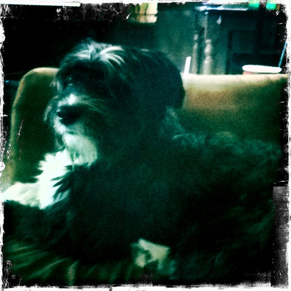 Hip 336071526.734284