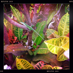 Hip 335655123.005908