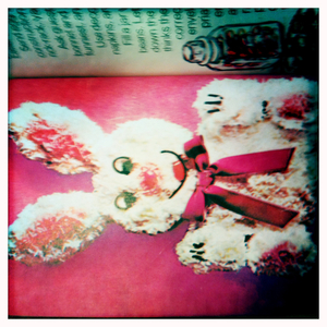 Hip 336081272.348276