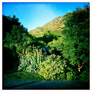 Hip 334806239.405432