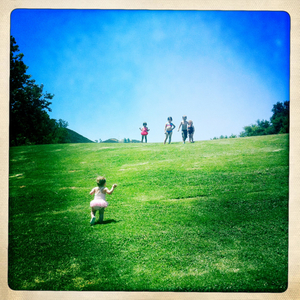 Hip 333060084.819904