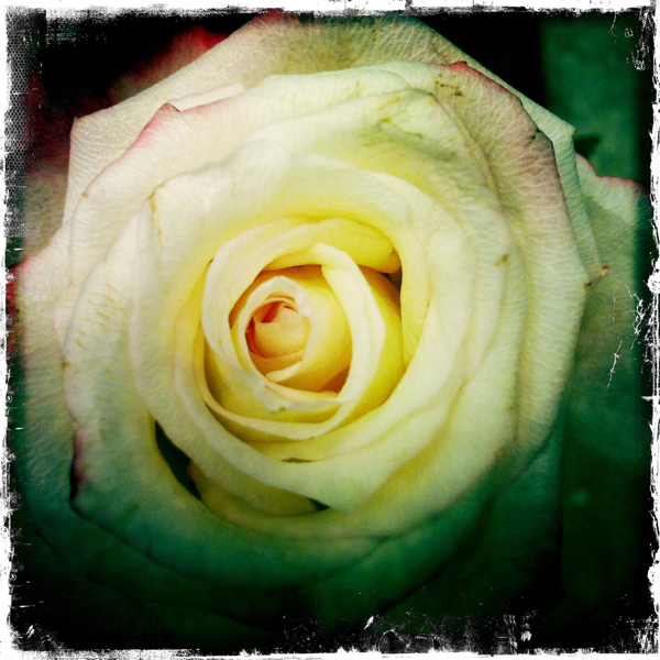 Hip 336085105.601863