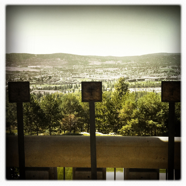 Hip 336085391.827430