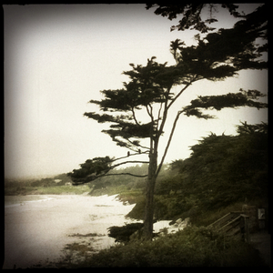 Hip 336084057.568718