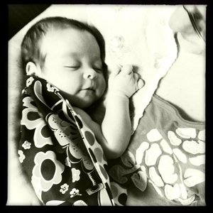 Hip 334260477.033571