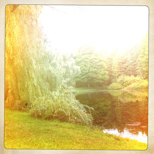 Hip 334964468.951805