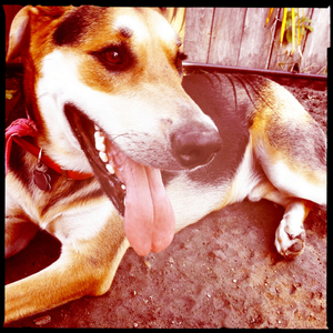 Hip 336012337.790000