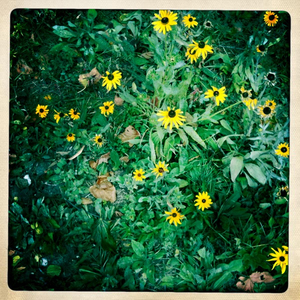 Hip 307814069.402556