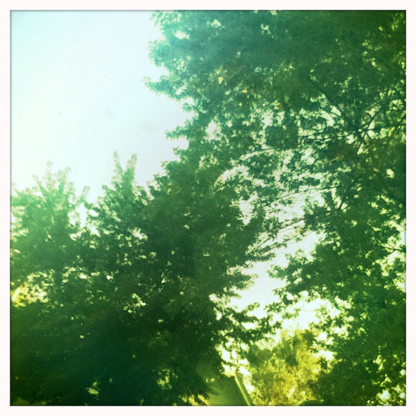 Hip 333333302.844590