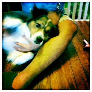 Hip 335562186.548366