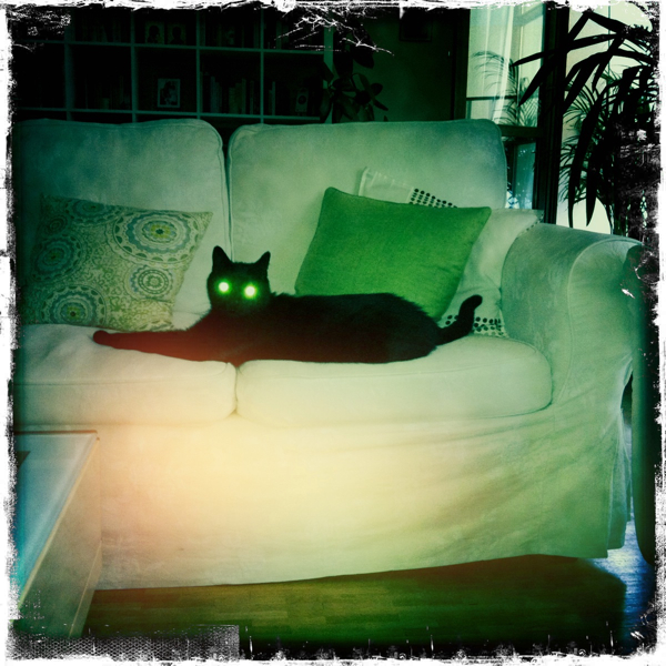 Hip 335642685.045307