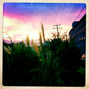 Hip 336095944.875261