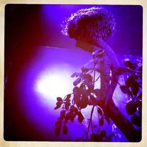 Hip 332536361.087982