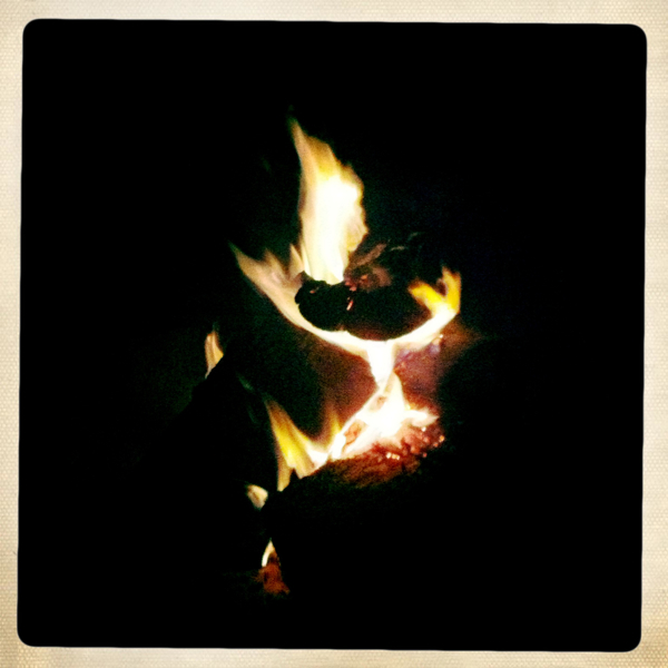 Hip 335763062.896077