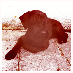 Hip 336068956.516409