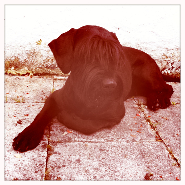 Hip 336068956.516409