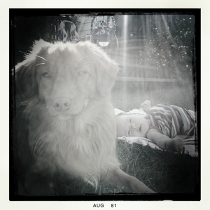 Hip 336091390.569539