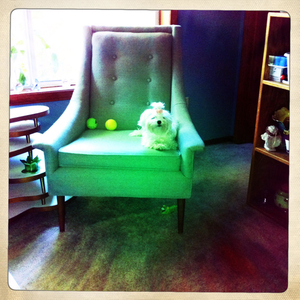 Hip 336101388.353058