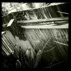 Hip 336102523.675001