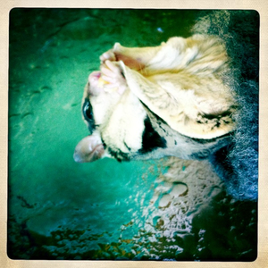 Hip 335765782.118108