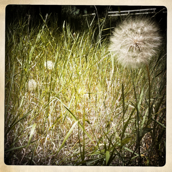 Hip 333232403.930401