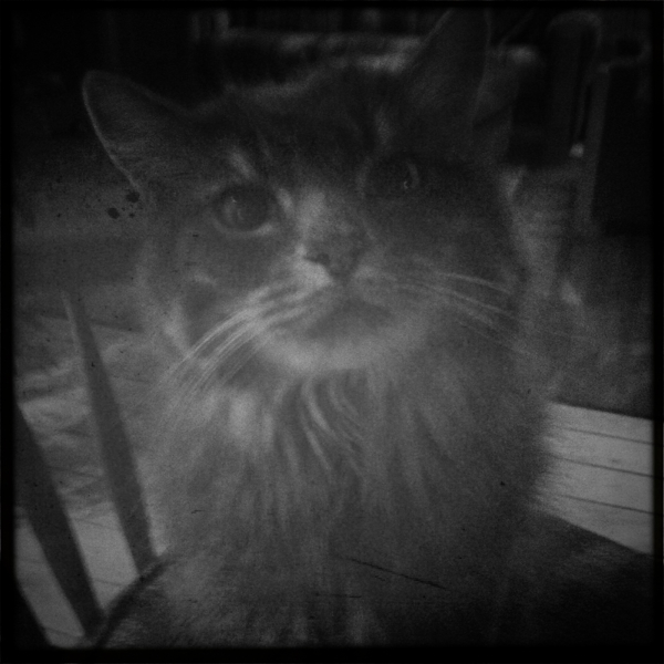 Hip 336106169.590038