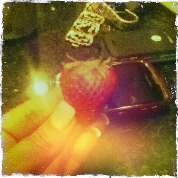 Hip 330405520.938687