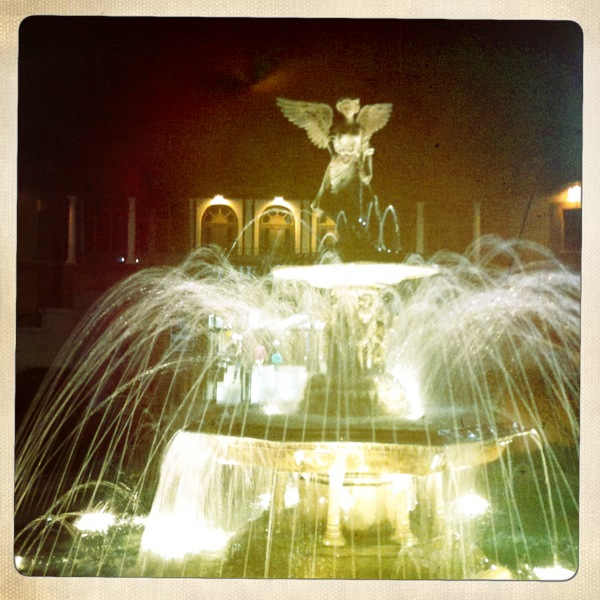 Hip 336104261.073894