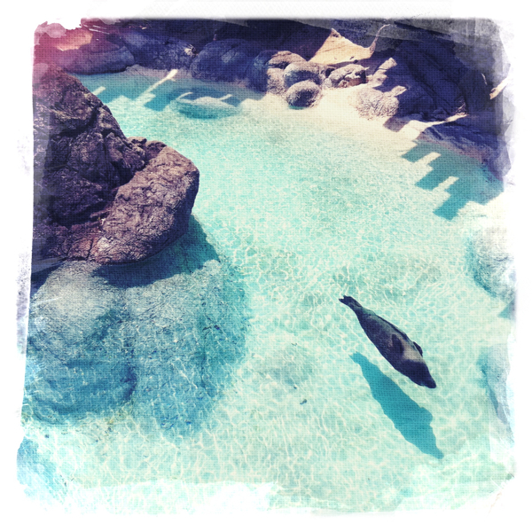 Hip 330367921.635368