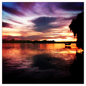 Hip 336099285.611555