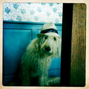 Hip 333237530.662713