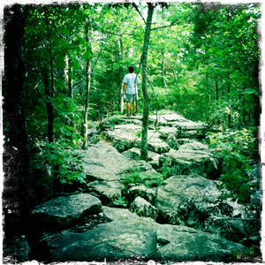 Hip 330907707.307421