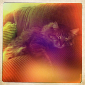 Hip 336109651.379282