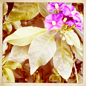 Hip 336093588.211595