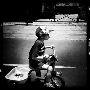 Hip 329595748.214660