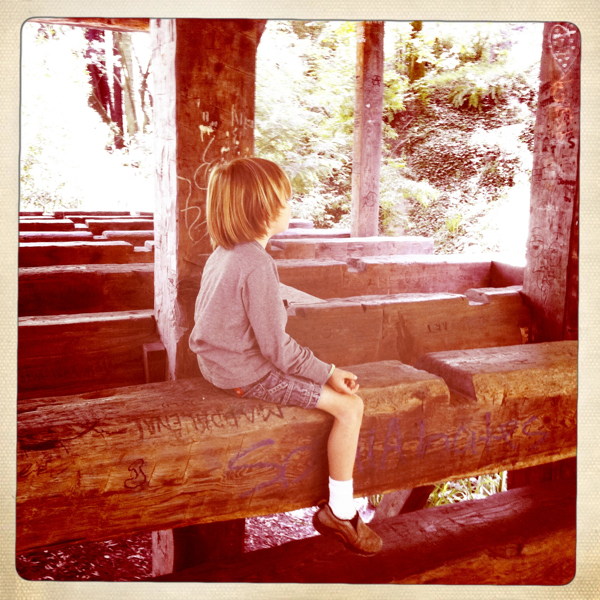 Hip 335991696.506652