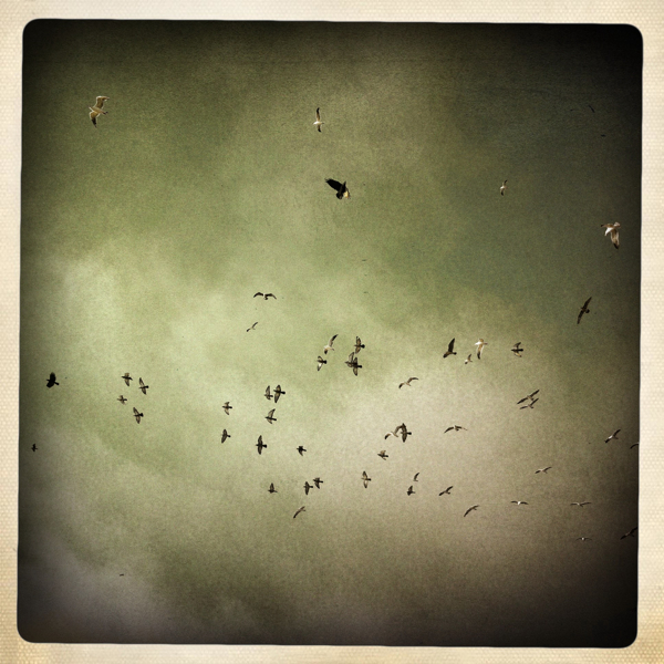 Hip 335065388.578212