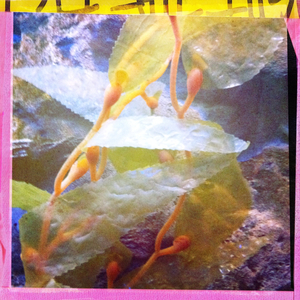 Hip 336104358.149362