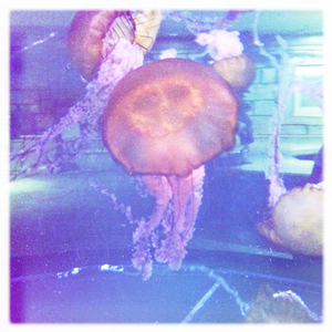 Hip 336101615.687954