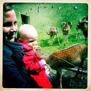 Hip 331290238.804356