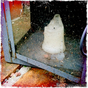 Hip 335971459.197655