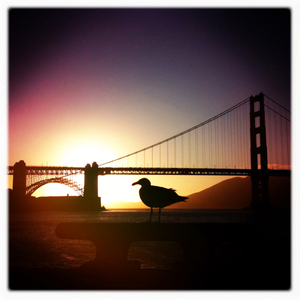 Hip 335068778.671343