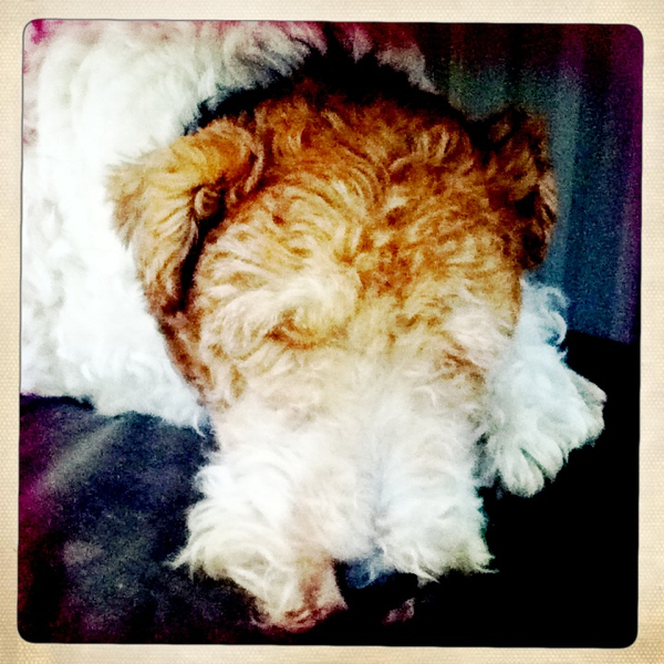 Hip 336124985.656428